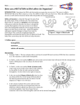 BIOLOGY LAB: How can a MUTATION in DNA affect