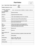 Cornell Notes Template