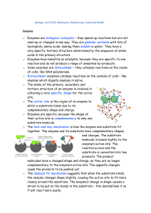 File - need help with revision notes?