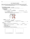 unit 8 - introduction to genetics