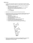 DNA Structure Questions