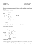 WS 3b Notes - Oregon State chemistry