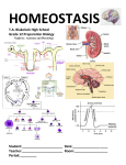 homeostasis - Mr. Shanks` Class