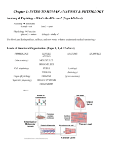 HUMAN ANATOMY AND PHYSIOLOGY INTRO NOTES