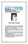 Your Pet`s Teeth - Dundee City Council