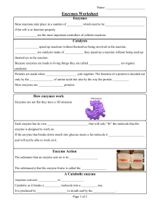 USED Enzymes Worksheet