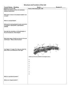 Outline Section 4.3