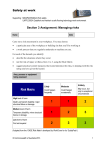 `Managing risks` Assignment template