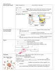 Nervous System - Effingham County Schools