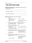 Name Class Date SECTION 6-1 REVIEW THE LIGHT REACTIONS