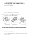 Review Sheet—Cell Structure and Function