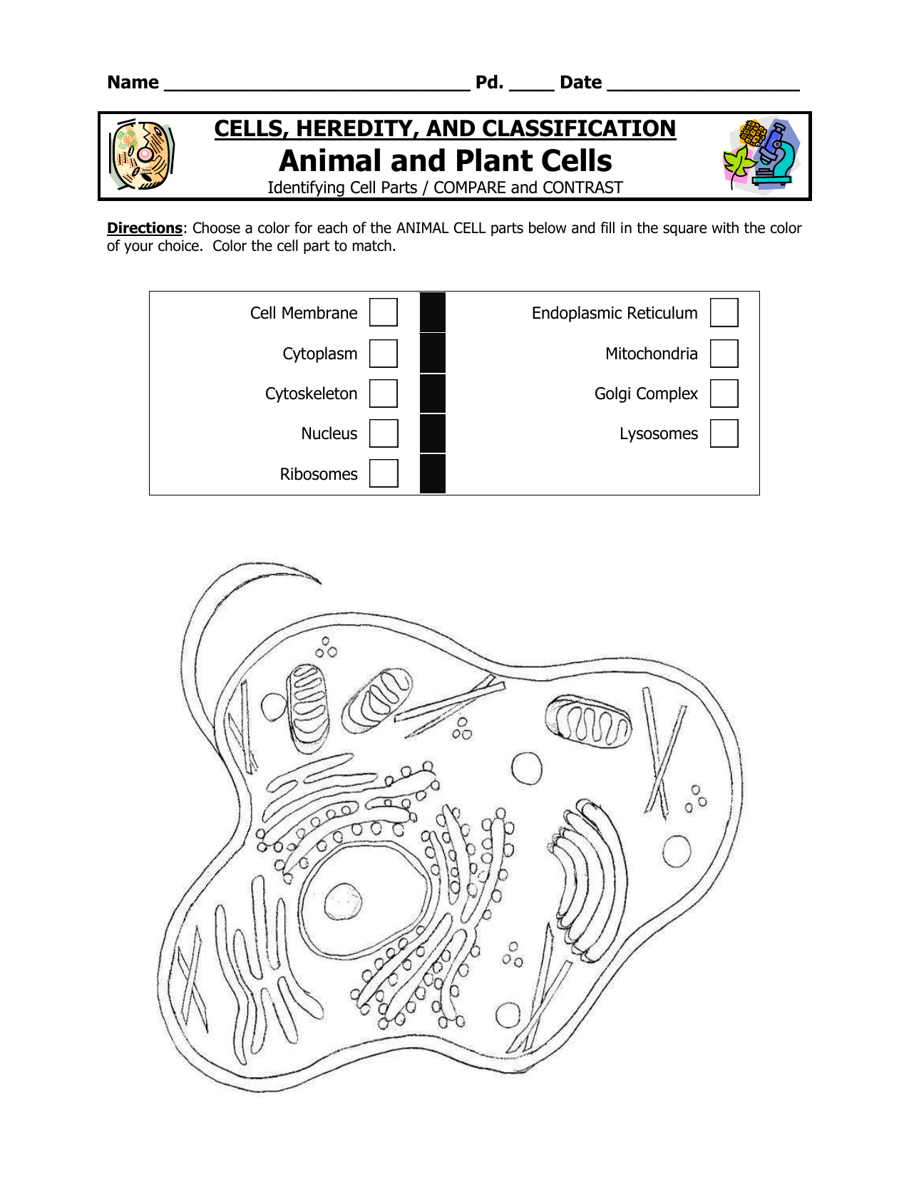 Animal and Plant Cells Coloring Pages Regarding Plant Cell Coloring Worksheet