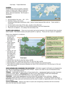 Case Study – Tropical Rainfores