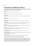 Top of Form Bottom of Form HTMLDirect Development of Bilaminar