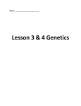 Lesson 3: How does children get traits that their parents do not have