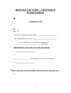 BIO_Protein_Synthesis_Outline - Cole Camp R-1