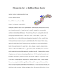 Fibronectin: Key to the Blood-Brain Barrier