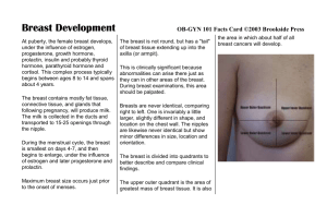 Breast Development