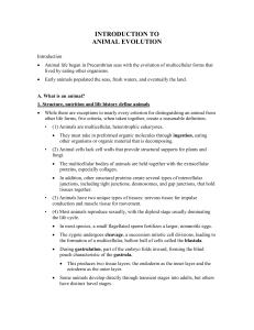 Unit 12 Introduction to Animal Evolution Notes