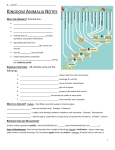 Kingdom Animalia Notes - Mrs-Lamberts-Biology