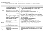 Unit 4 1450-1750 Study Guide Graphic Organizer