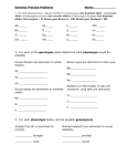 Genetics Practice Problems - Simple Worksheet