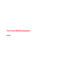 The Coral Reef Ecosystem BIO/101 The Coral Reef Ecosystem