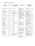 Explorer`s Chart with Answers Name of Explorer Year(s) Nationality