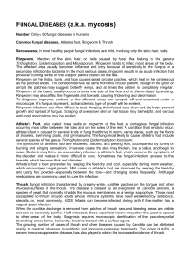 Fungal Diseases also known as mycosis