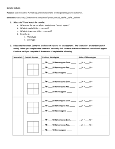 Genetic Soduko Purpose: Use interactive Punnett square