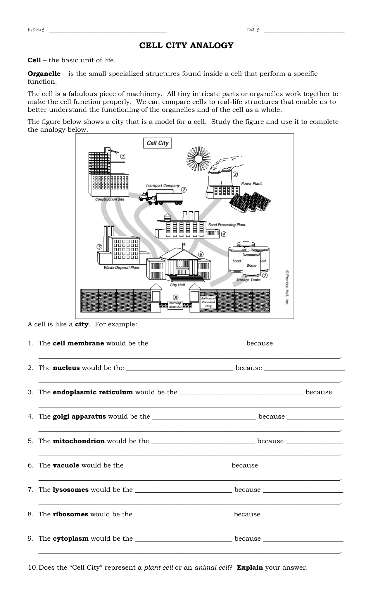 Cell City Analogy Intended For Cell City Analogy Worksheet Answers