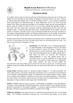 Article 54 Phytolacca dioica Belhambra and octandra Inkberry