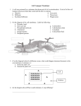 Pre-AP Biology Cell Transport Worksheet