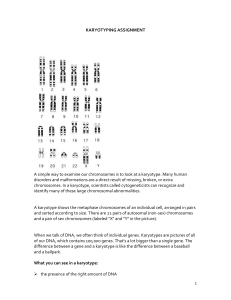 What can our chromosomes tell us