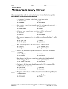 Mitosis Vocabulary Review