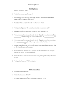 DNA Replication - cloudfront.net