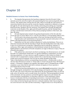 Chapter10_Detailed_Answers