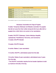 The build up an immunity against parvo and all the other diseases