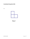 VisSpatialRecognSkills
