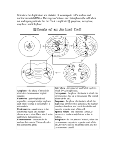 Bio 12-Diagram of Mi.. - hrsbstaff.ednet.ns.ca