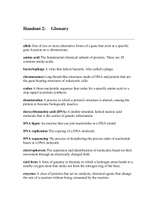 Handout 2: Glossary