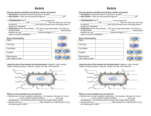 Bacteria Page