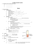 Cardiovascular System