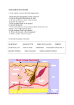 integumentary system