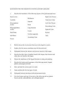 QUESTIONS FOR THE DIGESTIVE SYSTEM AND METABOLISM