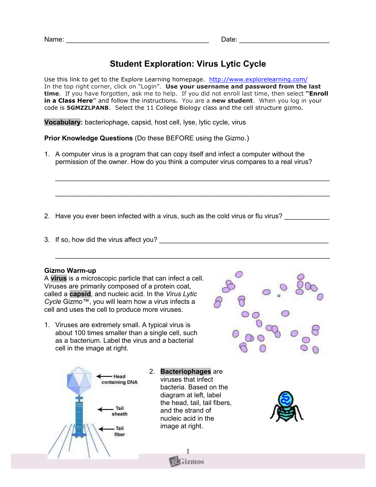 Cell Division Gizmo Answer Key Activity B : The Cell Cycle Key - Get cell division answer key ...
