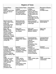 Regions of Texas - Net Start Class