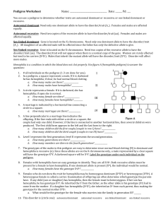 pedigree_worksheet_1-16