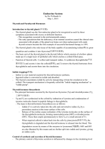 Endocrine System