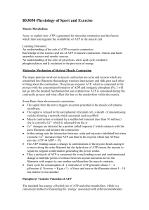 BS3050 Physiology of Sport and Exercise